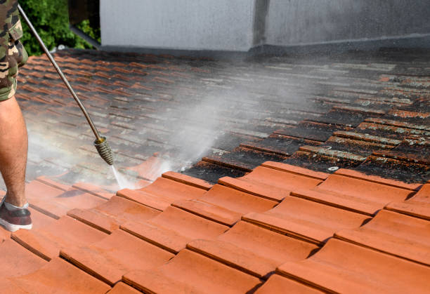 Best Local Pressure Washing Services  in Weedsport, NY