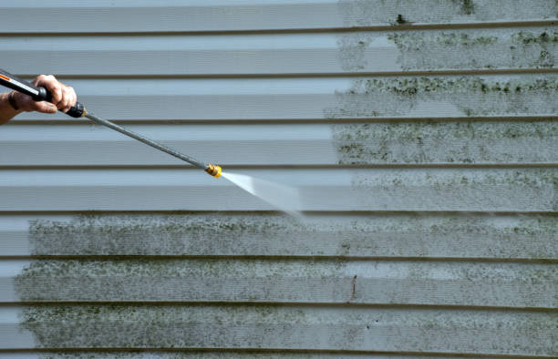 Best Roof Pressure Washing  in Weedsport, NY