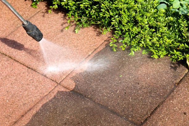 Best Pressure Washing Services Near Me  in Weedsport, NY
